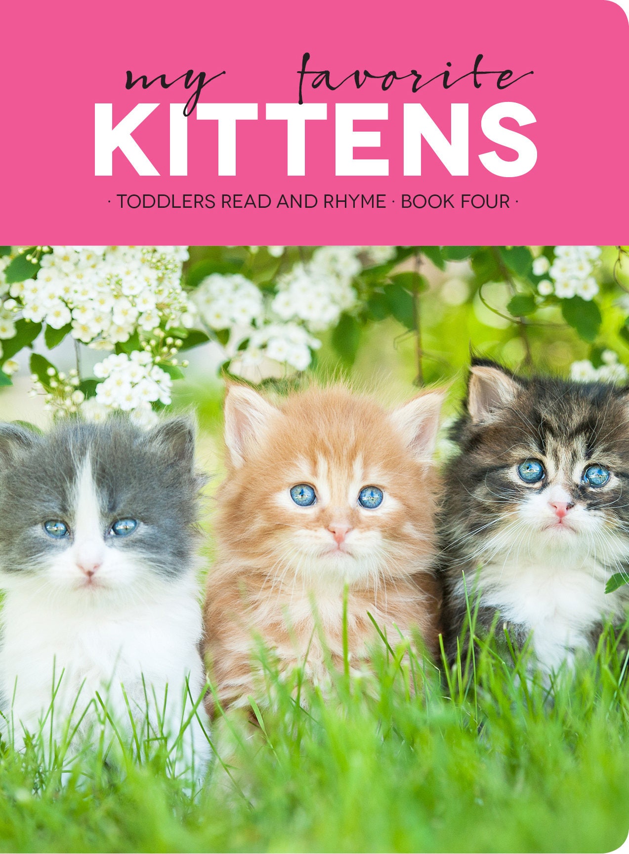 My Favorite Kittens Book Etsy
