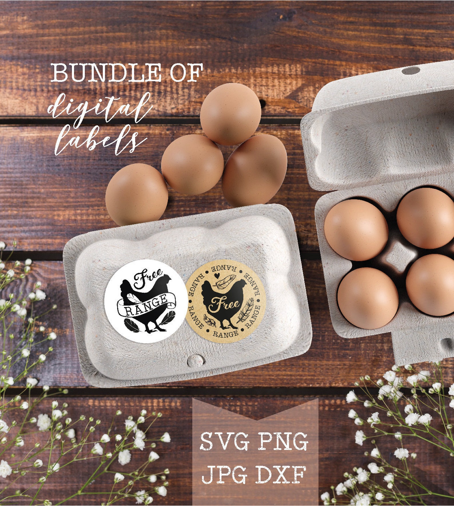 Free Range Chicken Labels SVG BUNDLE Egg Carton Labels Svg Etsy