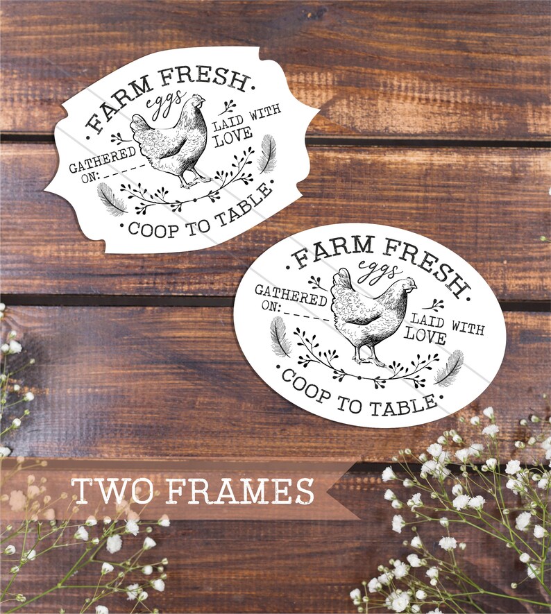 30 Free Egg Carton Label Template Labels For You Egg Carton Label 