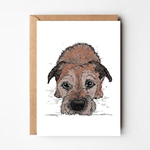 Border Terrier notecards 4pack