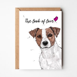Jack Russell San Valentino, anniversario, biglietto d'amore