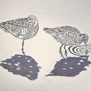 Black-tailed Godwits Linocut Print