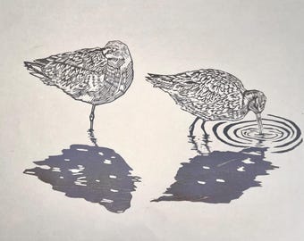 Black-tailed Godwits Linocut Print