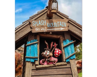 Wunderliches Splash Mountain Schild Poster - VAS