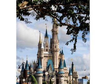 Cinderella's Castle Poster - Magische Disney World Fotografie - VAS
