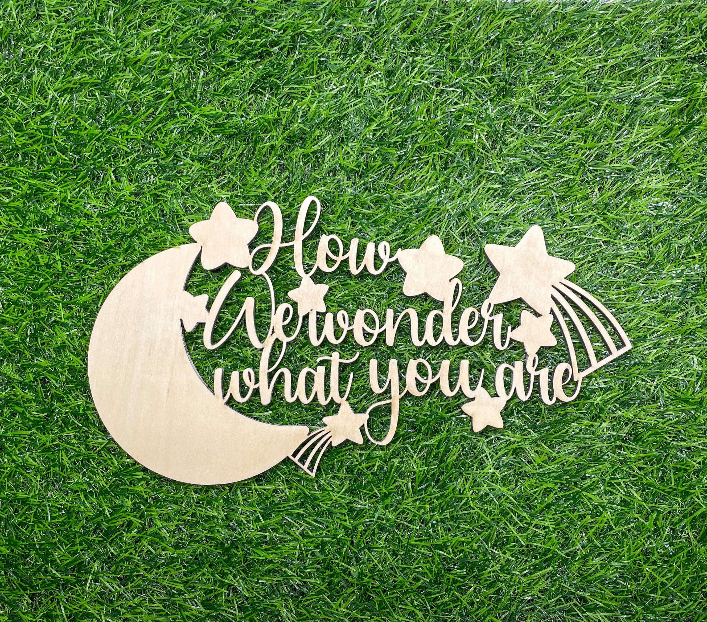 Twinkle Twinkle Sign Gender Reveal Banner Baby Shower Backdrop Sign Twinkle Star Theme Baby Shower Decorations