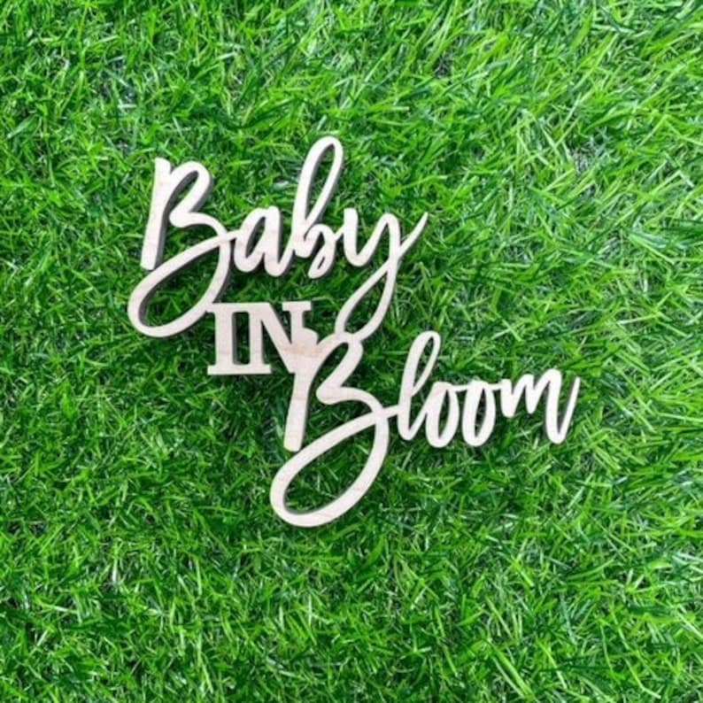 K&ouml;nnte beinhalten: Ein Holzschild mit dem Text "Baby in Bloom" in einer kursivschriftlichen Schriftart. Das Schild befindet sich auf einem gr&uuml;nen grasbewachsenen Hintergrund.