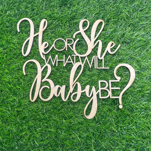 He or She Gender Reveal Baby Shower Sign Babyshower - Etsy