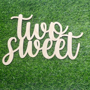 Two Sweet  Sign , Donut Party Backdrop Sign, Two year old girl Banner, Two Sweet Birthday Party Decorations
