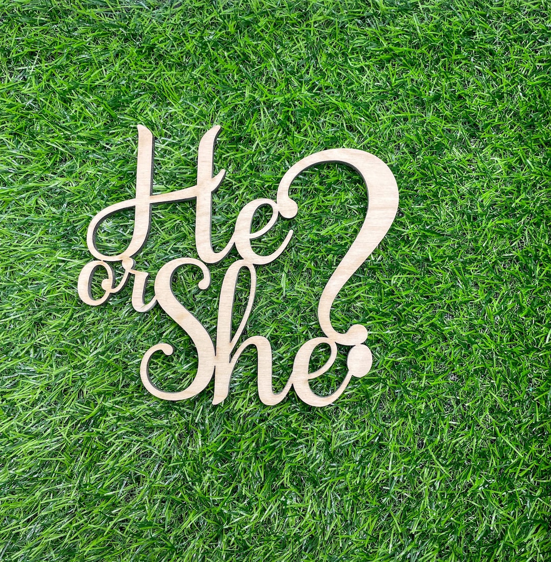 He or She Backdrop Wooden Sign, Gender Reveal Decor, Baby Shower Wood ...