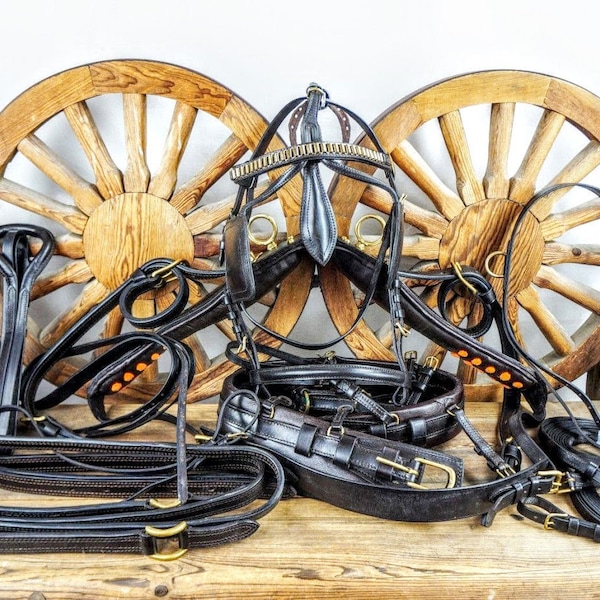Horse Harness Etsy