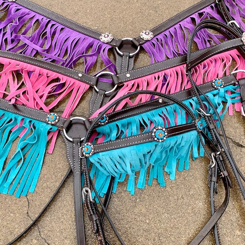 Custom Painted Horse Tack Set Western Headstall and Breast Etsy