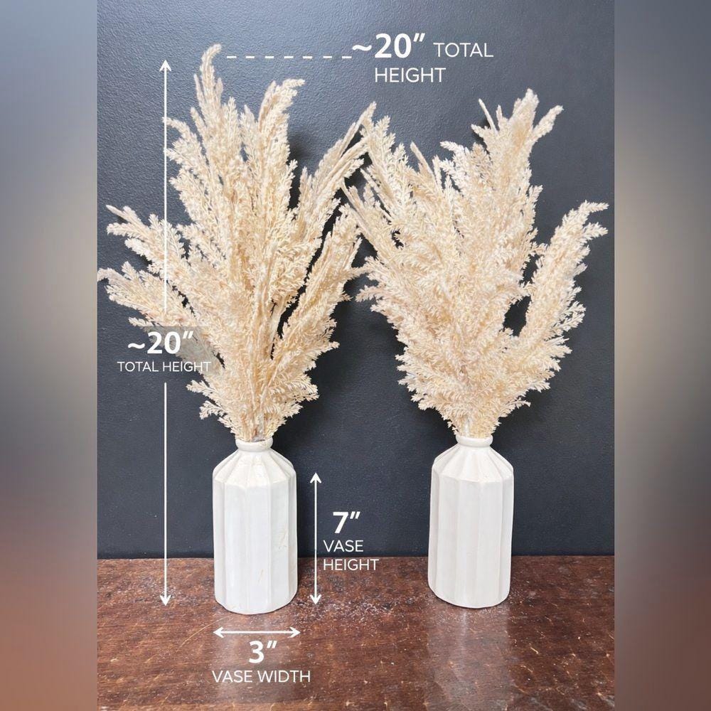 2 Modern Neutral Pampas Grass Ceramic Vase Set Boho Farmhouse Table ...