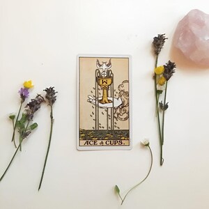 Schnelles Beziehungsergebnis Tarot-Lesung | Einblicke & Antworten