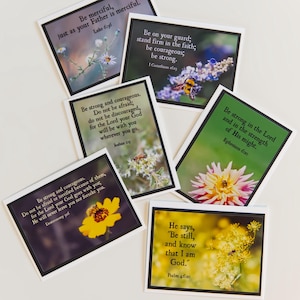 BIENEN GRUSSKARTEN {Set mit 6 Karten} - Inspirationskarten - Biblische Karte - Schriftkarten - Christliche Karte - Ermutigung