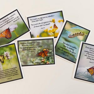 SCHMETTERLINGS-GRUSSKARTEN {Set mit 6 Karten} - Inspirationskarten - Bibel-Grußkarten - Schriftkarten - Christliche Mitteilungskarten - jeden Anlass