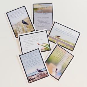 VOGEL-GRUSSKARTEN {Set mit 6 Karten} - Inspirationskarten - Biblische Karte - Schriftkarten - Christliche Karte - Vogelkollektion
