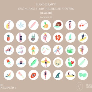 May include: A set of 35 hand-drawn Instagram story highlight covers with a Hawaiian theme. The covers feature various illustrations, including pineapples, surfboards, flowers, and palm trees. The text "PACK OF 35" is included in the image.