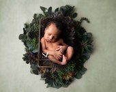 Newborn Digital Backdrop Earthy Greens Backdrop Newborn Digital Background Newborn Photography Backdrop Succulents Wreath