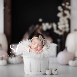 Newborn Digital Backdrop White Pumpkins by the Fireplace Newborn Digital Background Newborn Fall Backdrop Autumn Backdrop