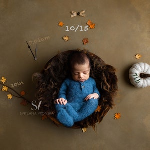 Newborn Digital Backdrop Baby Birth Announcement Newborn Digital Background Autumn Baby Stats Template Newborn Backdrop