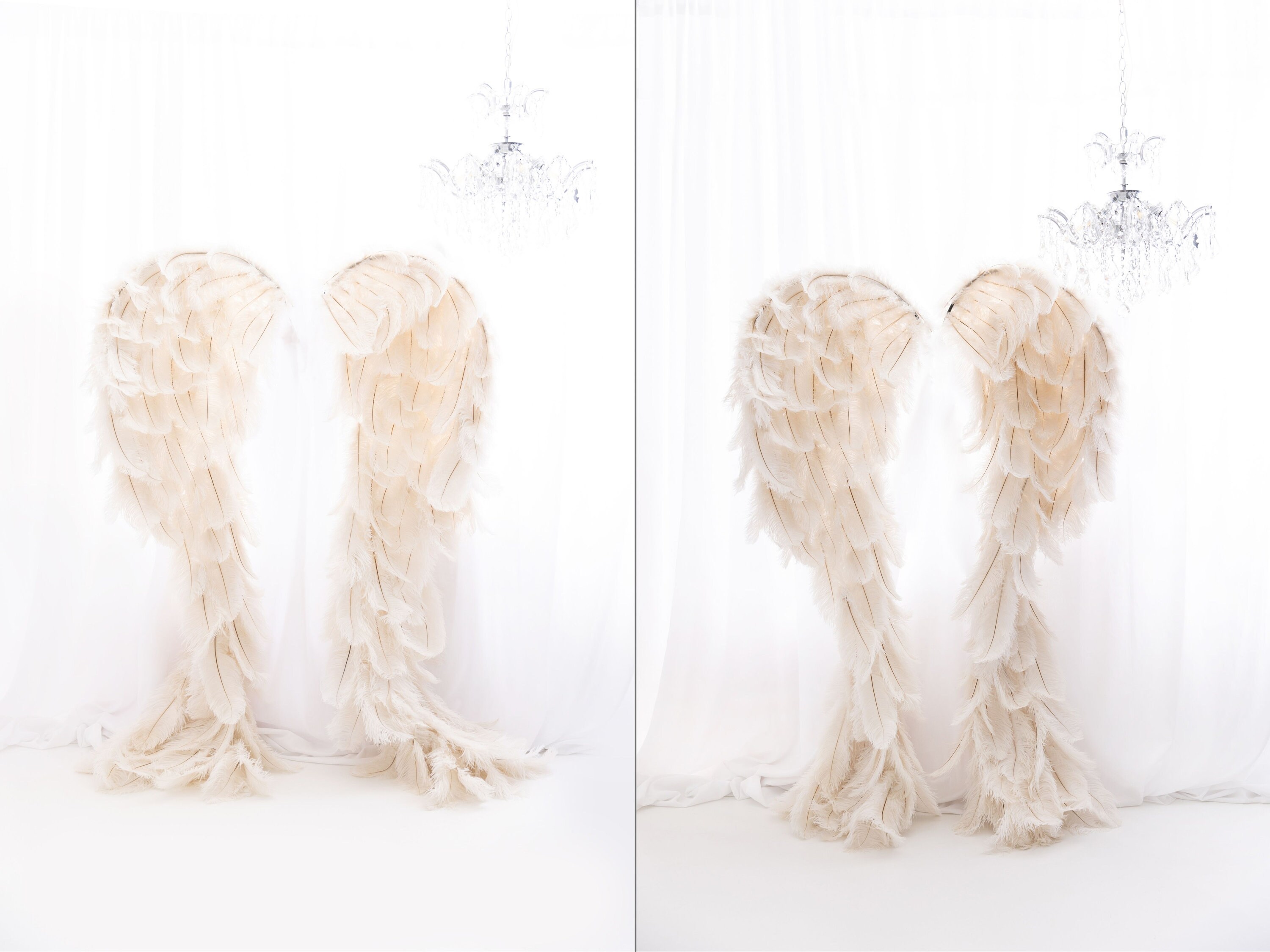 Digital Backdrop Angel Wings Digital Background for Maternity ...