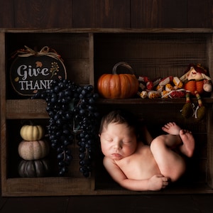 Newborn Digital Backdrop Autumn Digital Backdrop, Happy Harvest Season, Give Thanks, Fall Digital Backdrop Newborn Digital Background