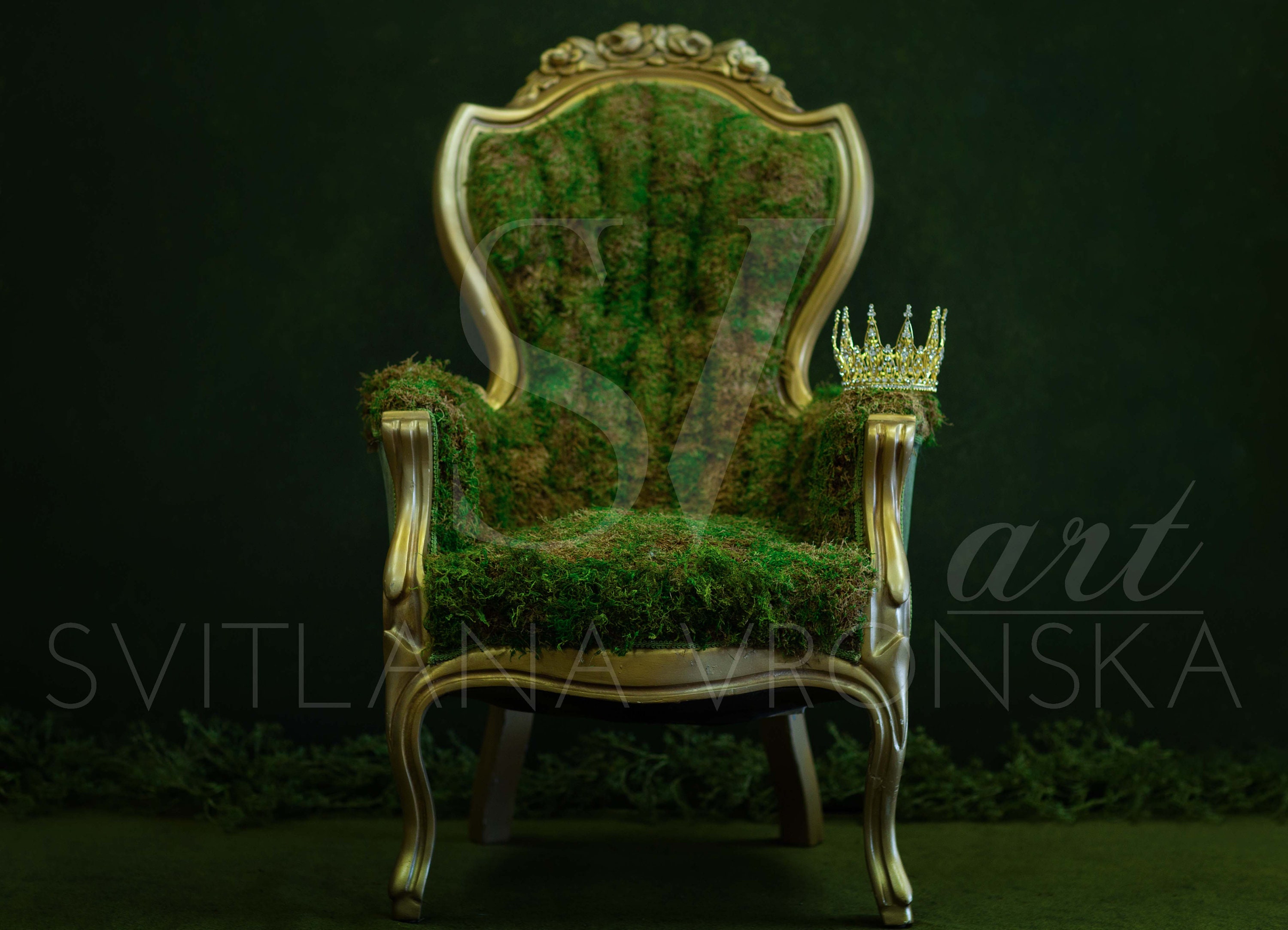 Fairytale Mossy Gold Chair for a Baby Princess Newborn Digital - Etsy Sweden