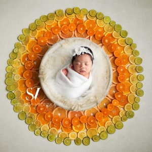 May include: A newborn baby sleeping in a white bowl surrounded by a circle of orange, yellow, and green citrus fruit slices.