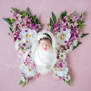 Gorgeous Butterfly made with real flowers Newborn Digital Backdrop floral butterfly digital background newborn photography