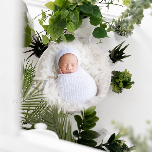 Newborn Digital Backdrop Baby Nest in the Garden Newborn Digital Background Newborn Greenhouse Backdrop