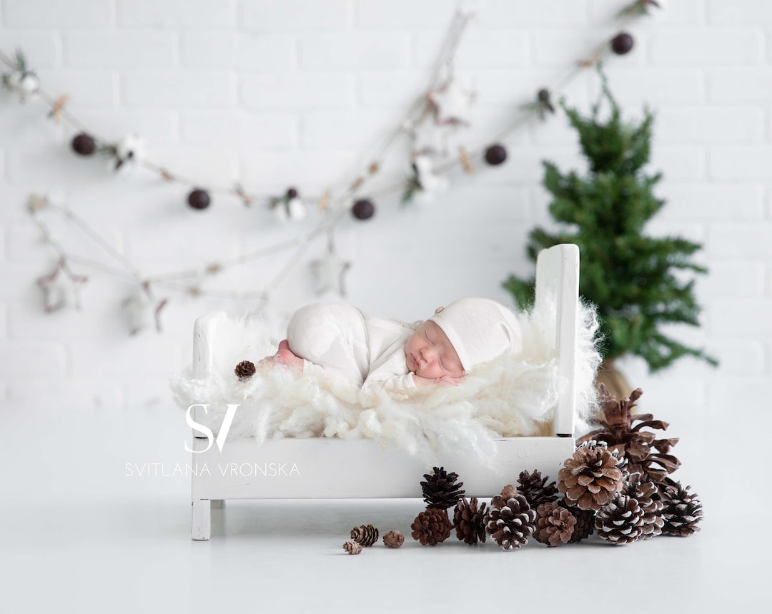 Newborn Digital Backdrop White Winter Scenery With a Christmas Tree