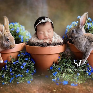 Pano de fundo digital para recém-nascidos, jardim floral com coelhinhos da páscoa, fundo digital para fotografia de recém-nascidos
