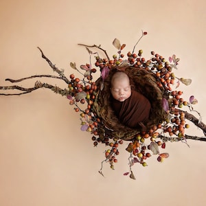 A Little Bird Tree Nest Newborn Digital Backdrop, Newborn Digital Background, Newborn Photography Prop Digital Newborn Backdrop image 1