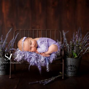 Newborn Digital Backdrop, Lavander Farm Dream, Newborn Digital Background, Newborn Photography Composite, Newborn Digital Prop