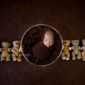Teddy Bears Newborn Digital Backdrop - Newborn Boy Overlay, Digital Background for Newborn Boy