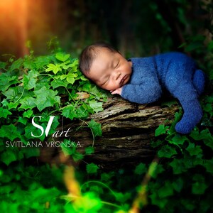 Newborn Digital Backdrop Woodland Outdoor Digital Background for Newborn Photography Green Forest