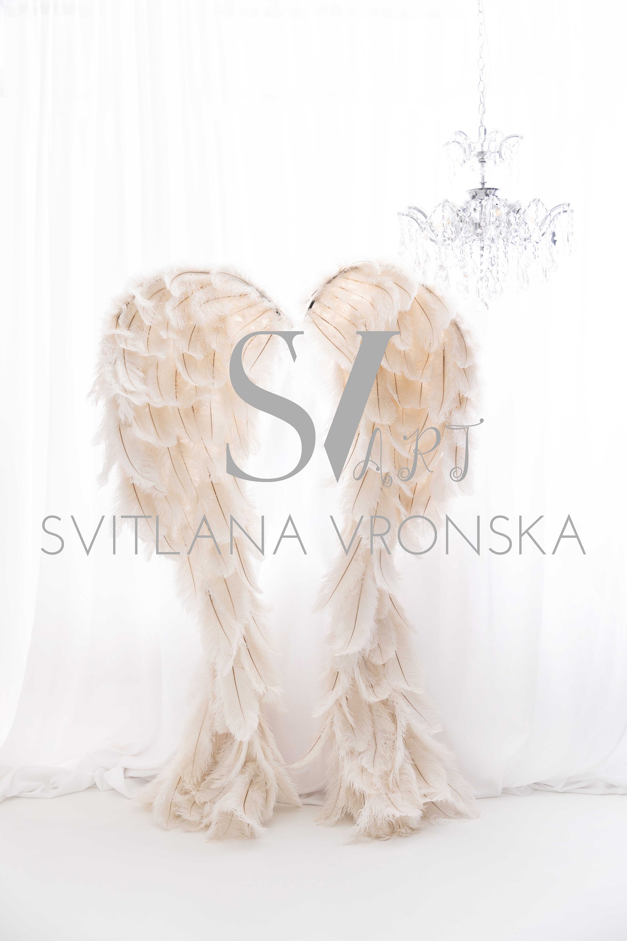 Digital Backdrop Angel Wings Digital Background for Maternity ...
