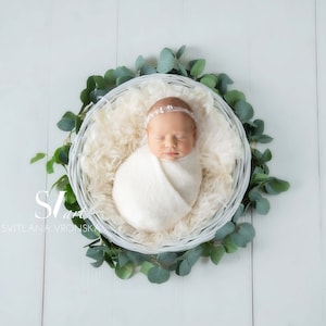 Newborn Digital Backdrop Natural Green and Milky White Background Stylish Nest Backdrop Newborn Digital Background High Res Jpeg file