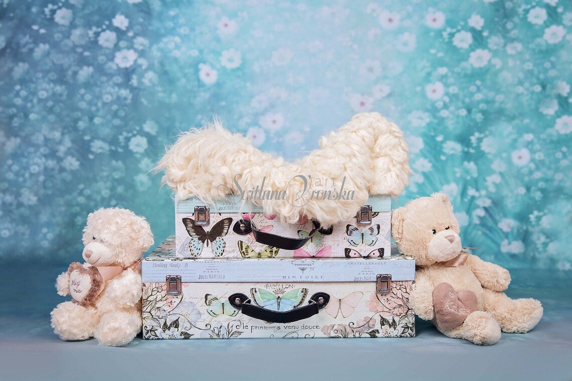 Newborn Digital Backdrop Digital Backdrops for Newborn Etsy