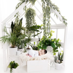 Arboretum Digital Backdrop Newborn Digital Background Greenhouse Garden Newborn Photography Backdrop