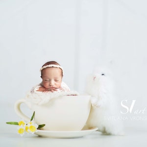 Digital Background Newborn Overlay - Digital Backdrop Cute Bunny with a Tea Cup/Coffee Cup. Newborn Easter Backdrop