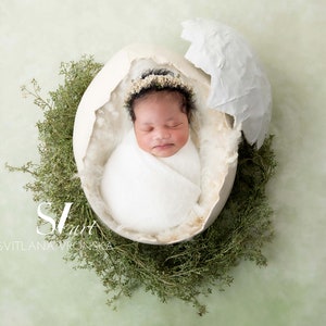 May include: A newborn baby is sleeping in a white egg-shaped prop with a flower crown on their head. The egg is surrounded by green foliage.