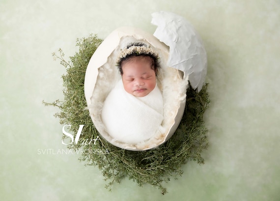 Newborn Digital Backdrop Egg Shell Newborn Digital Background, Digital Prop, Newborn Digital Composite Prop