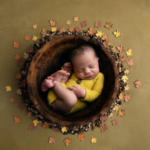 Fall Newborn Digital Backdrop with Autumn Leaves Newborn Digital Background Autumn Backdrop