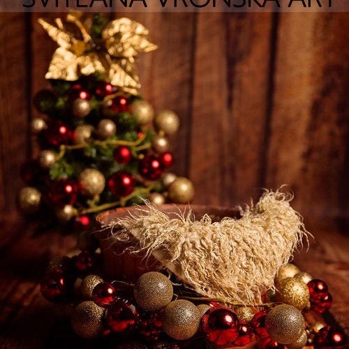 Christmas newborn digital backdrop