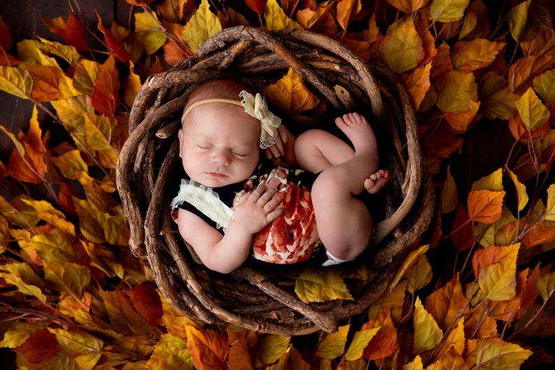 Newborn Digital Backdrop Fall Leaves Autumn Nest Newborn | Etsy