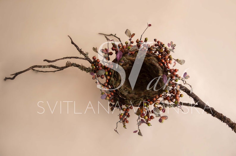 A Little Bird Tree Nest Newborn Digital Backdrop, Newborn Digital Background, Newborn Photography Prop Digital Newborn Backdrop image 2