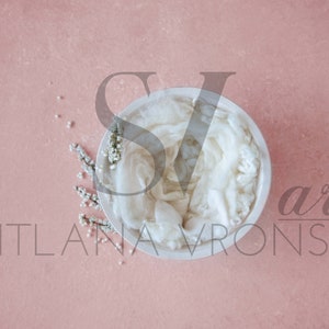 Digital Backdrop in 4 Color Varieties | Soft Pastel Colors | Newborn Digital Background Newborn Backdrop for Digital Composite in Photoshop