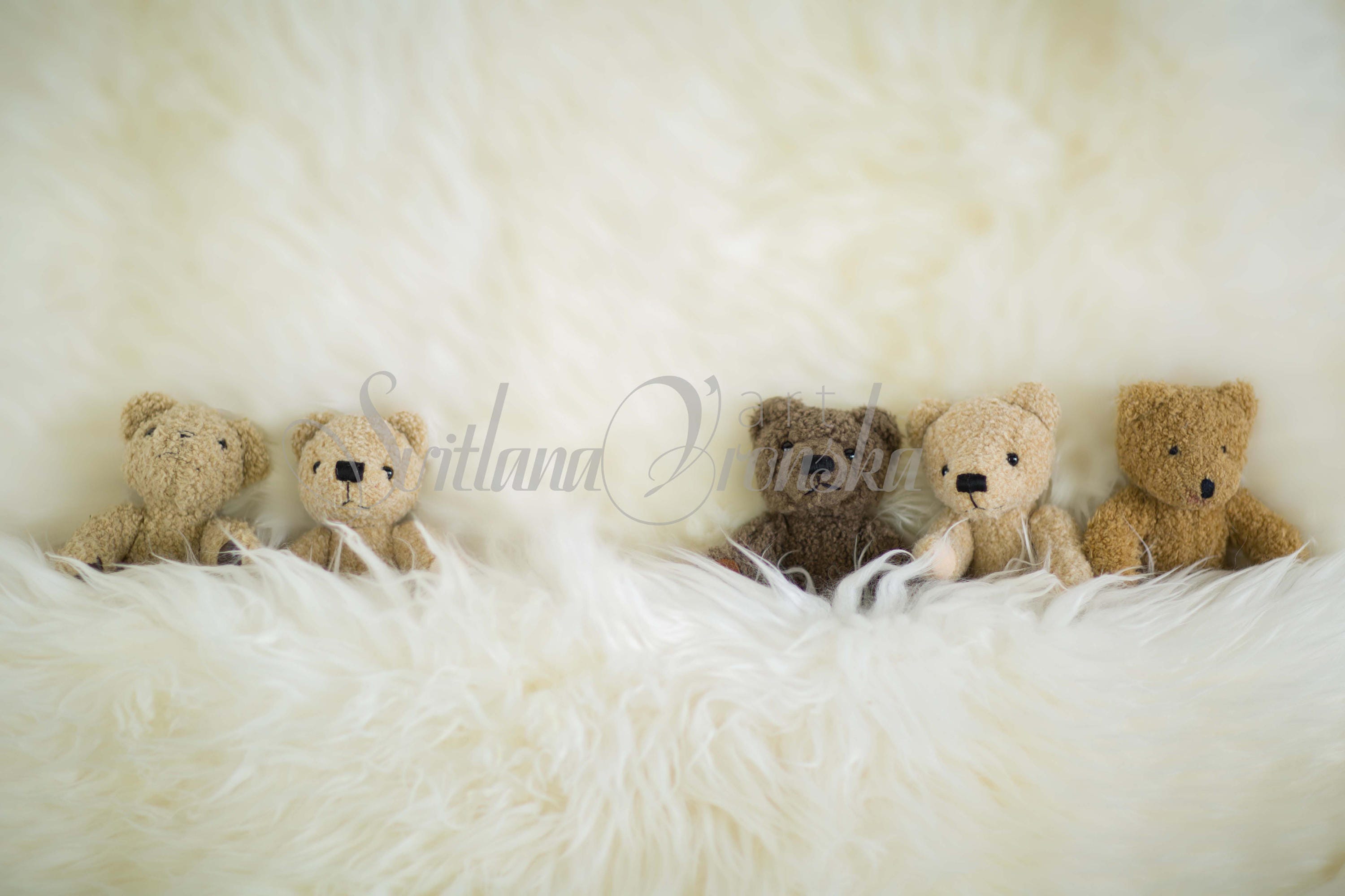 Digital Background with Adorable Teddy Bears - Digital Backdrop Newborn Prop, Boy Digital Backdrop, Girl Digital Backdrop